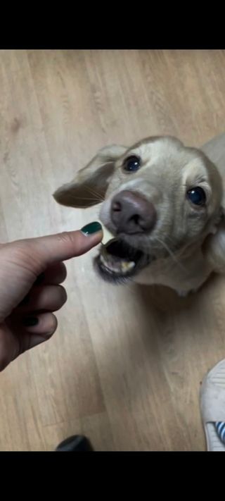 민난길님이 올린 리뷰 사진 2