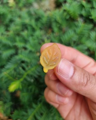 렐라님이 올린 리뷰 사진 2