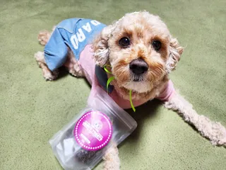 란아님이 올린 리뷰 사진 1