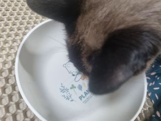 모잉모잉님이 올린 리뷰 사진 3