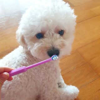 민동2님이 올린 리뷰 사진 1