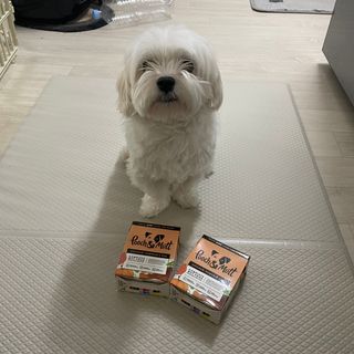 김연주님이 올린 리뷰 사진 1