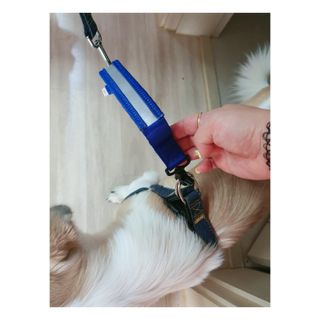 레드오렌지님이 올린 리뷰 사진 4