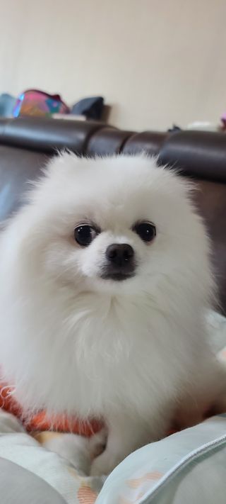 버츠비 케어플러스 릴리빙포앤노즈로션 — 5점을 준 리뷰어가 2021년 4월 올린 사용 사진