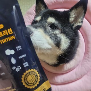 EunsunKim님이 올린 리뷰 사진 1