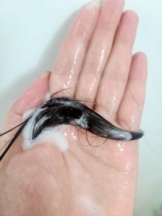 체리온탑님이 올린 리뷰 사진 4