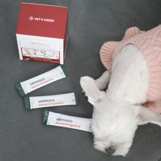 희온느님이 올린 리뷰 사진 2