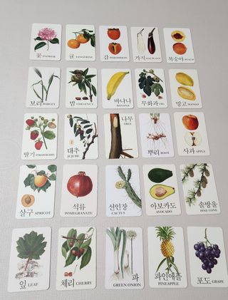바바북스 바바 클래식 낱말카드 — 5점을 준 리뷰어가 2024년 1월 올린 사용 사진