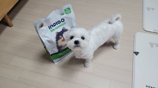 쏘이님이 올린 리뷰 사진 1