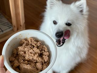 오로라님이 올린 리뷰 사진 1