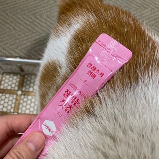 페페로니 잘 먹는 캣츄 - 알래스카 연어 24개입 — 5점을 준 리뷰어가 2021년 9월 올린 사용 사진