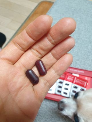 꽃사과님이 올린 리뷰 사진 3