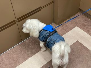 벨라님이 올린 리뷰 사진 4
