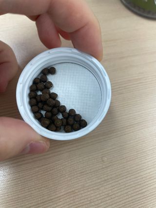 [큐라에스] 식후 1입 혈당 뚝 여주환 100g(1개월분) — 5점을 준 리뷰어가 2023년 12월 올린 사용 사진