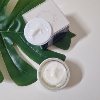 록타비아 Artisan Complete Face Cream — 5점을 준 리뷰어가 2024년 1월 올린 사용 사진