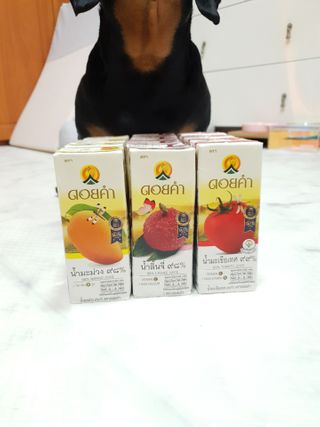 도이캄 착즙 완숙 토마토 200ml 12팩 무설탕 태국왕실 기내식주스 — 5점을 준 리뷰어가 2021년 2월 올린 사용 사진