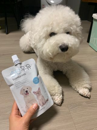 정민트님이 올린 리뷰 사진 1