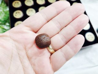 광동생활건강 프리 미션 [광동] 광옥고 보력환 (3.75 g x 30환) — 5점을 준 리뷰어가 2025년 7월 올린 사용 사진