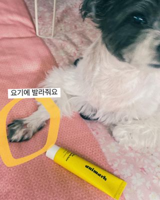 클로버님이 올린 리뷰 사진 1