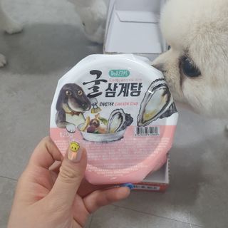 도레파스 굴삼계탕 - 강아지용 — 5점을 준 리뷰어가 2021년 3월 올린 사용 사진