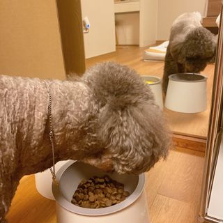 sooholuv님이 올린 리뷰 사진 3