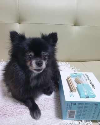 페페로니 클린플러스 덴탈치킨껌 10g x 14p — 5점을 준 리뷰어가 2021년 7월 올린 사용 사진