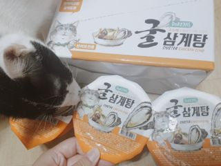 쑈쮸님님이 올린 리뷰 사진 2