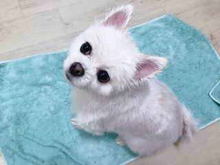 라움님이 올린 리뷰 사진 3