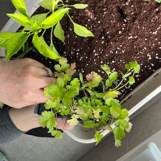 닉넴없음님이 올린 리뷰 사진 1