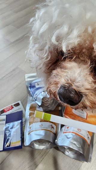 햇님달님님이 올린 리뷰 사진 4