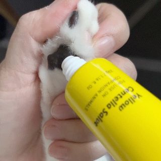 내이름은윤또님이 올린 리뷰 사진 1