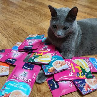 비타크래프트 고양이 수프 50g 3가지맛 x4팩씩 총 12팩 — 5점을 준 리뷰어가 2021년 8월 올린 사용 사진