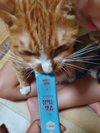 페페로니 잘 먹는 캣츄 - 원양선 참치 24개입 — 5점을 준 리뷰어가 2021년 9월 올린 사용 사진
