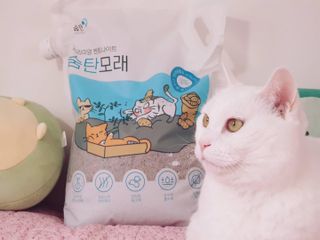 엘양님이 올린 리뷰 사진 3