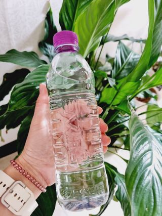 욜리올라님이 올린 리뷰 사진 1