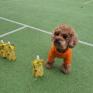 사랑해안시영님이 올린 리뷰 사진 2