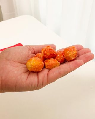 레드닥터 통째로 동결건조한 대추방울토마토 20g * 4봉 — 5점을 준 리뷰어가 2022년 12월 올린 사용 사진