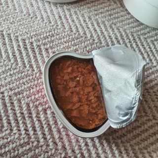 비타크래프트 조에시 하트캔 85g 강아지 습식캔 10캔 — 5점을 준 리뷰어가 2021년 9월 올린 사용 사진