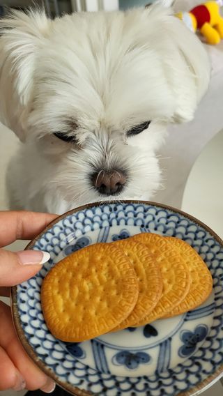 뽀오오옹님이 올린 리뷰 사진 4
