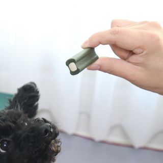 우와한언니님이 올린 리뷰 사진 3
