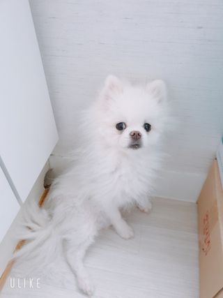 황선아님이 올린 리뷰 사진 2