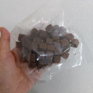 My Pet Care 천연단백질 관절건강에 개좋아 — 5점을 준 리뷰어가 2021년 3월 올린 사용 사진