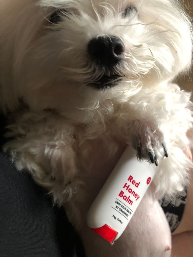 [레드허니밤]자유펫 고양이 강아지 발바닥 밤 14g 리뷰 사진