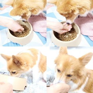 림림님이 올린 리뷰 사진 4