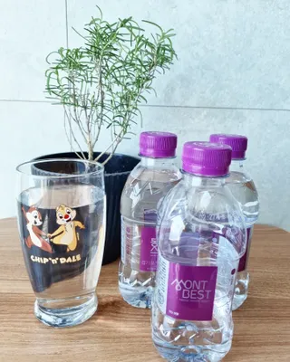몽베스트 [MONTBEST] 330mL 20병 — 5점을 준 리뷰어가 2023년 7월 올린 사용 사진