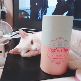 정혜님이 올린 리뷰 사진 1