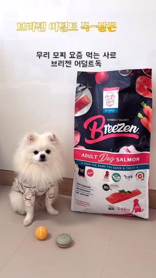 borana님이 올린 리뷰 사진 1