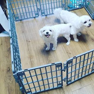 뿌꾸님이 올린 리뷰 사진 3