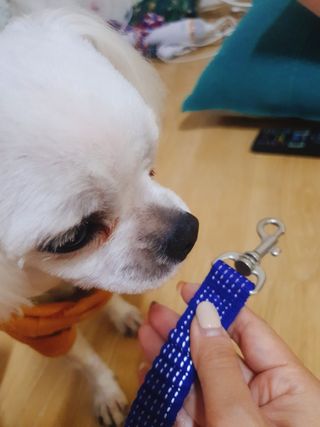 미진냥님이 올린 리뷰 사진 1