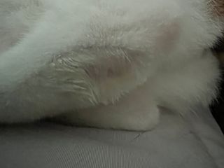 크리미님이 올린 리뷰 사진 2